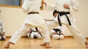 IBJJF Approved Gi Specs Explained - Shapes Fightwear