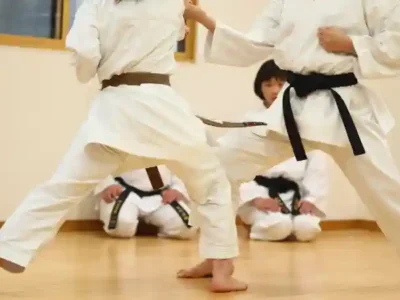 IBJJF Approved Gi Specs Explained - Shapes Fightwear